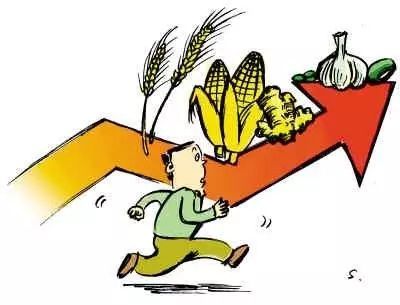 糧食價格持續(xù)走低 探究初級農(nóng)產(chǎn)品市場困境