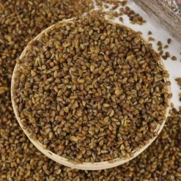 云南大理洱源縣苦蕎麥 優(yōu)質(zhì)初級農(nóng)產(chǎn)品批發(fā)指南