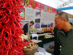 銅川2018扶貧產(chǎn)品交易會(huì) 初級(jí)農(nóng)產(chǎn)品精品薈萃，看點(diǎn)亮眼搶先揭秘